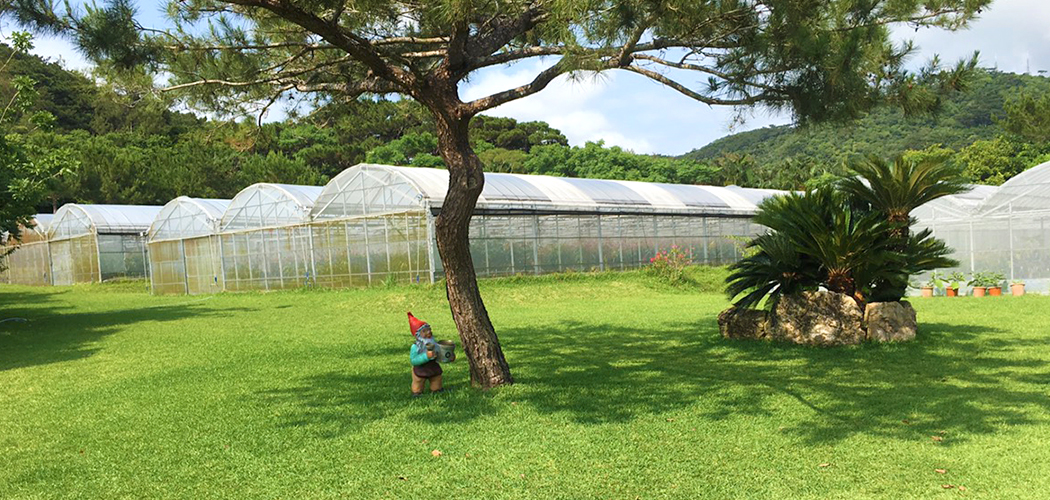 公園のような農園